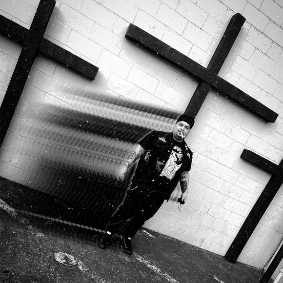 Meet your Posher, Joey - Picture 1 of 1